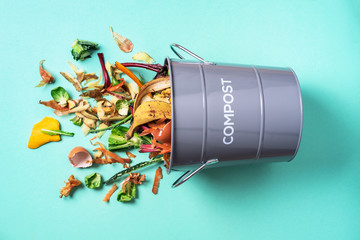 Trash bin for composting with leftover from kitchen on blue background. Top view. Recycling scarps...