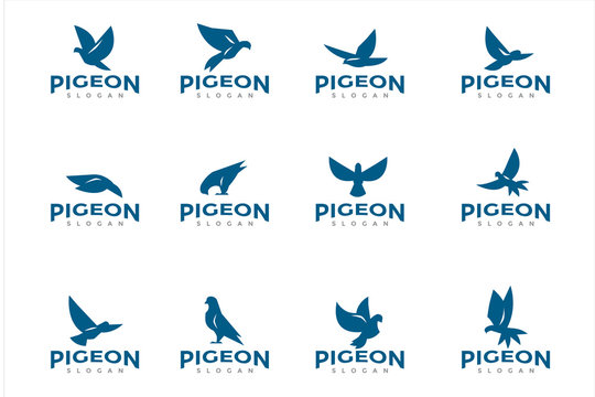 pigeon bird logo icon pack