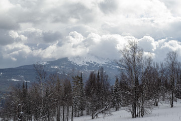 Nature landscape. Snowy mountain top closed by white cumulus clouds