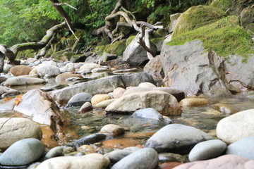Naklejka na ściany i meble Mountain Creek. Pure water. Clear water. Flow. Waterfall.