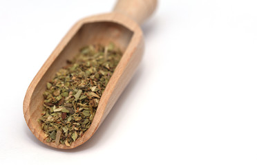 Oregano Gewürz Kräuter auf einer Gewürzschaufel