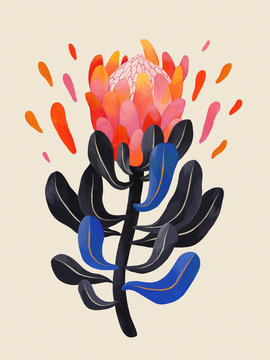 Protea Illustration, Botanical Illustration, Flower Painting on Beige Background