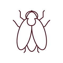 fly insect icon, line style