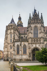Fototapeta na wymiar St Elisabeth Cathedral, Kosice, Slovakia