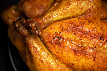 Roasted chicken in baking dish. Top view. Copy space. Macro shoot, selective focus