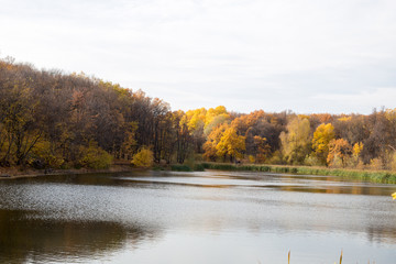 Fototapeta na wymiar autumn forest by the lake