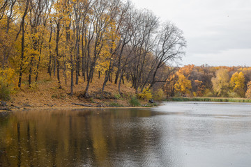 autumn forest by the lake