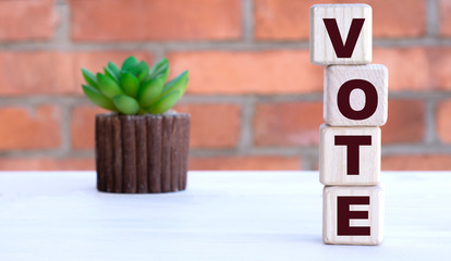 VOTE the word on cubes against the background of a brick wall with a cactus.