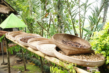 Sun drying, Bali, Indonesia
