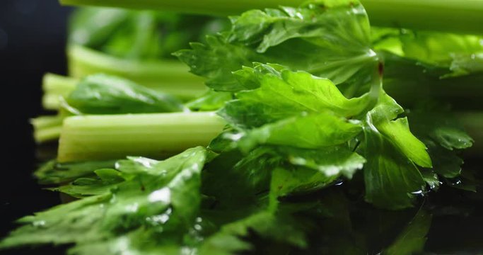 Fresh celery with the leaves falling to the water.