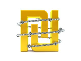 Shekel currency symbol with barbed wire