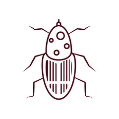 beetle insect icon, line style