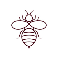 bee insect icon, line style