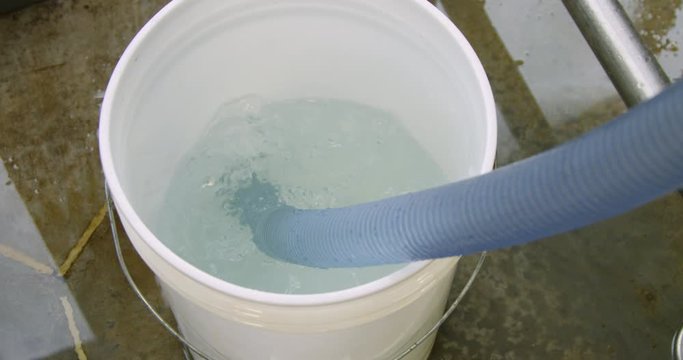 Sanitation process for brewing beer commercially