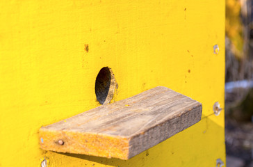 honey apiary, bee hive in the garden in early spring