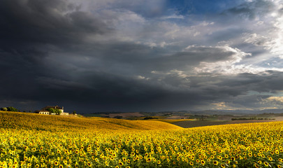 ITA/Marches, Morrovalle