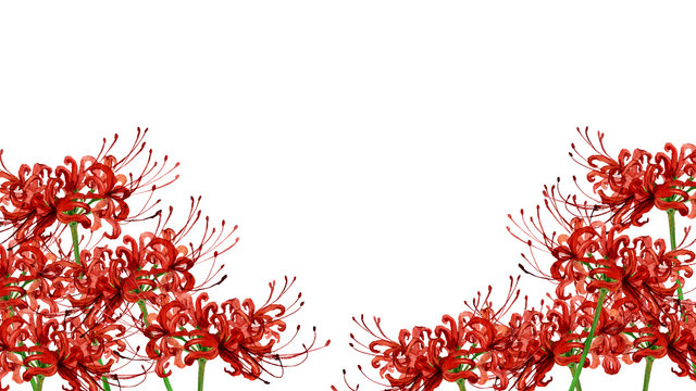 彼岸花 Images – Browse 36,066 Stock Photos, Vectors, and Video