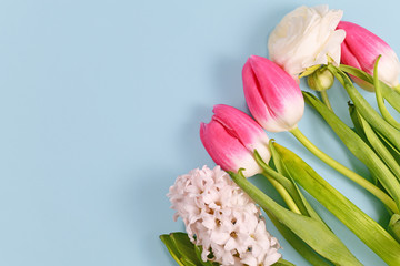 Pink and white blooming spring flowers like Buttercup, Tulip and Hyacinth in corner of light blue background with blank copy space