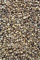  Close up of coffee beans for background                                  