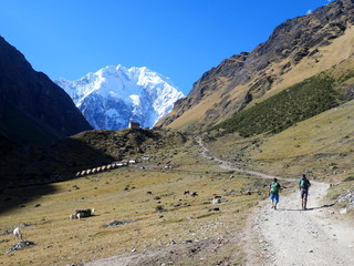 Obraz premium coming home, salkantay trek