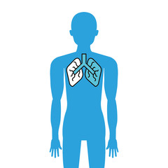 body avatar with lungs organ isolated icon vector illustration design