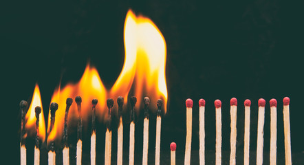 A lot of burnt matchsticks and one matchstick prevents following burning. Concept of stop spreading...