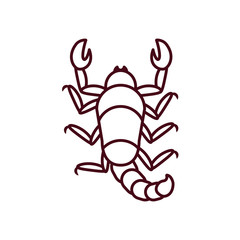 scorpion insect icon, line style