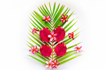 Still life. Beautiful and exotic fruit, pitahaya on a background of palm leaf. Pitaya Tibnoke...