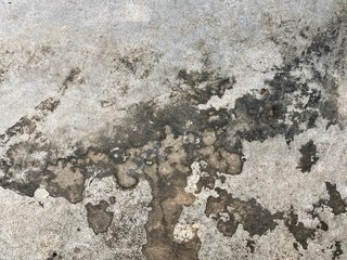 Cement with moss. Background or texture.