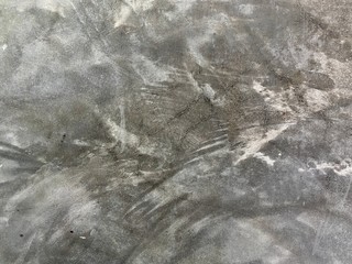 Gray polished cement. Background or texture.