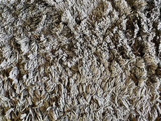 gray carpet background or texture.