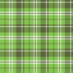 Seamless pattern in exquisite bright and dark green and white colors for plaid, fabric, textile, clothes, tablecloth and other things. Vector image.