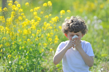 Little European caucasian  children  has allergies from flower pollen, boy has running nose in...
