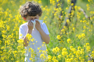 Little European caucasian  children  has allergies from flower pollen, boy has running nose in flower field and wipe his nose by tissue paper - asthma