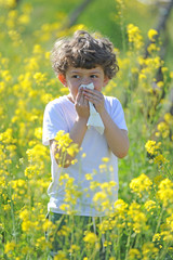 Little European caucasian  children  has allergies from flower pollen, boy has running nose in flower field and wipe his nose by tissue paper - asthma