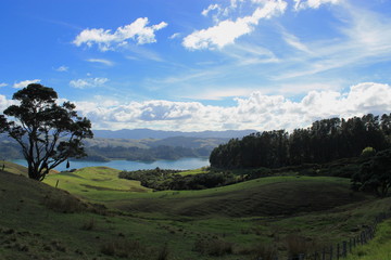 Obraz premium beautiful landscape