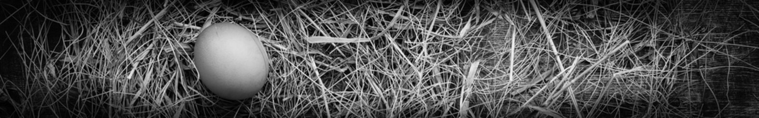 Chicken egg in a straw nest for Easter, rustic style, table, top view, toned black white, copy space right