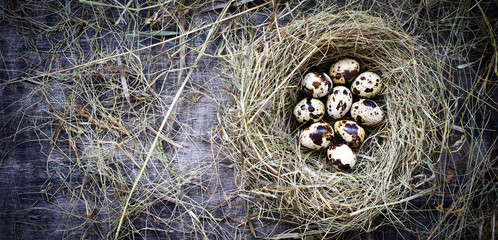 Nine quail eggs in a straw nest for Easter, rustic style, table, top view, copy space left