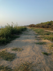 Pathway on the coast under the light of sunrise