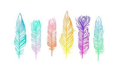 Pattern with magic eagle feather in line art style. Use it for print or web, package design.