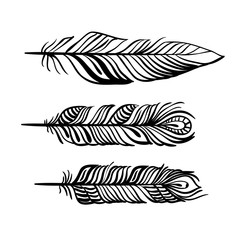 Pattern with magic eagle feather in line art style. Use it for print or web, package design.