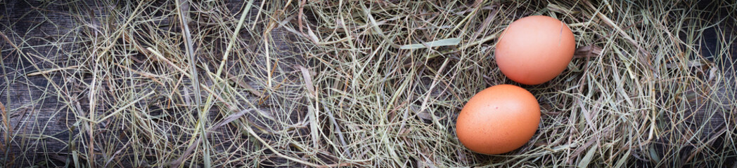 Two chicken eggs in a straw nest for Easter, rustic style, table, top view, copy space left, croped