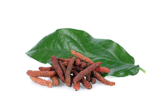 long pepper, pipli or dipli (piper longum) with leaf isolated on white background