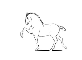 Horse info graphic poster design. Vector illustration.