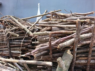 Logs for building house