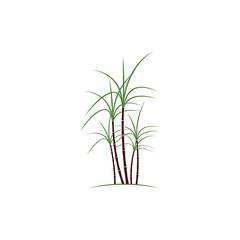 Fototapeta na wymiar Sugar cane Logo Template vector symbol