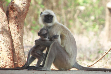 Motherhood