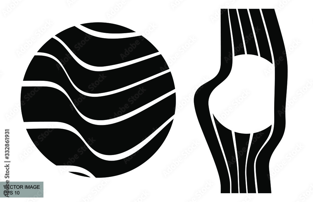Poster abstract rippled lines pattern with wavy vibrant facture on background. square format. vector illust