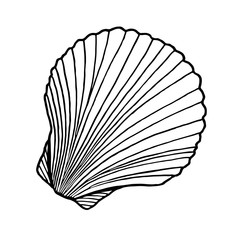 Black and white seashell. Hand drawn outline contour vector illustration of underwater scallop shell. Nautical element isolated on white background for cards, logo, decoration, coloring books, print