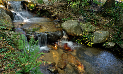 Small waterfall in a river with rocks and vegetation